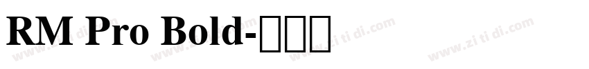 RM Pro Bold字体转换